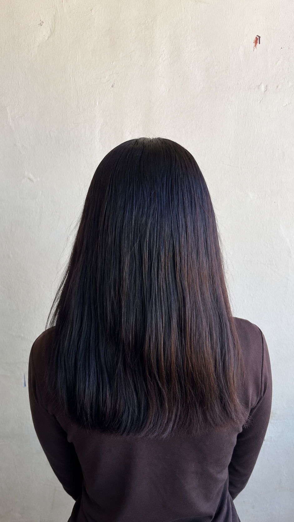 13×4 Straight Wig - Double Drawn